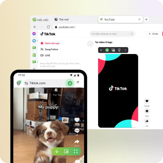 Tải video từ TikTok		
