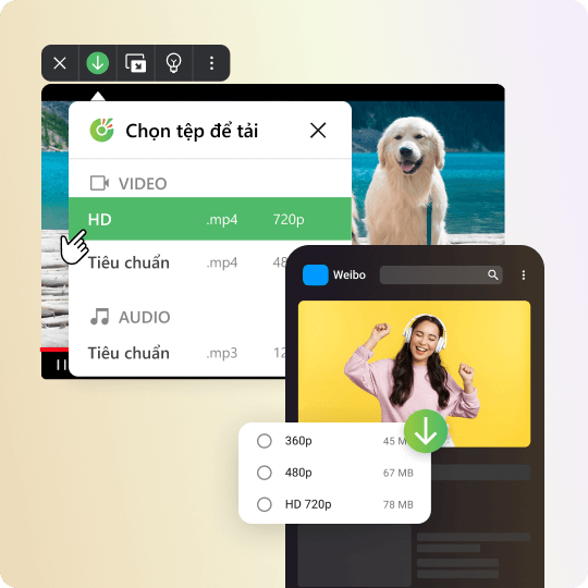 Tải video Xiaohongshu tải video RedNote chất lượng cao		