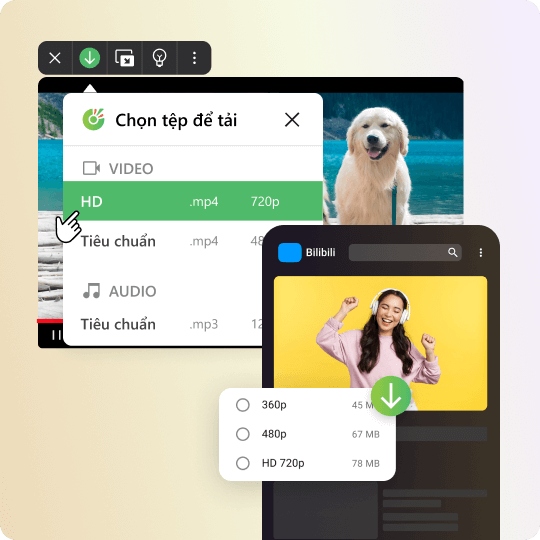 Cách tải video Bilibili HD		