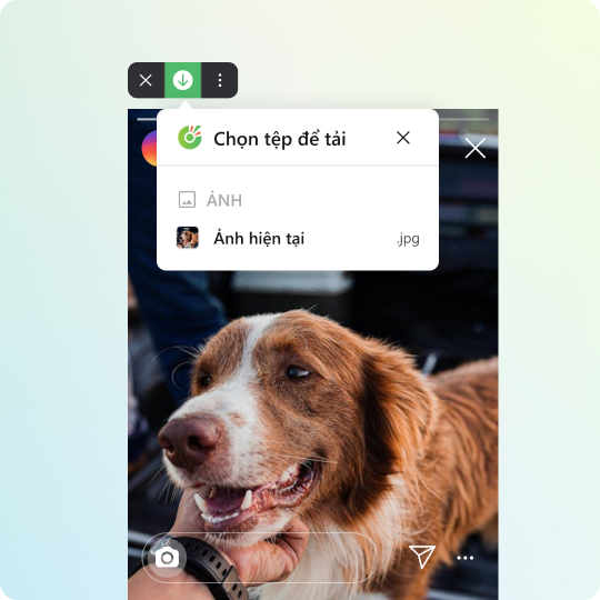Cách tải ảnh Instagram riêng tư		