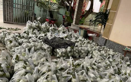 Con dâu vừa mất việc, tôi sang nhà hỏi thăm thì hú hồn với cảnh tượng giữa sân