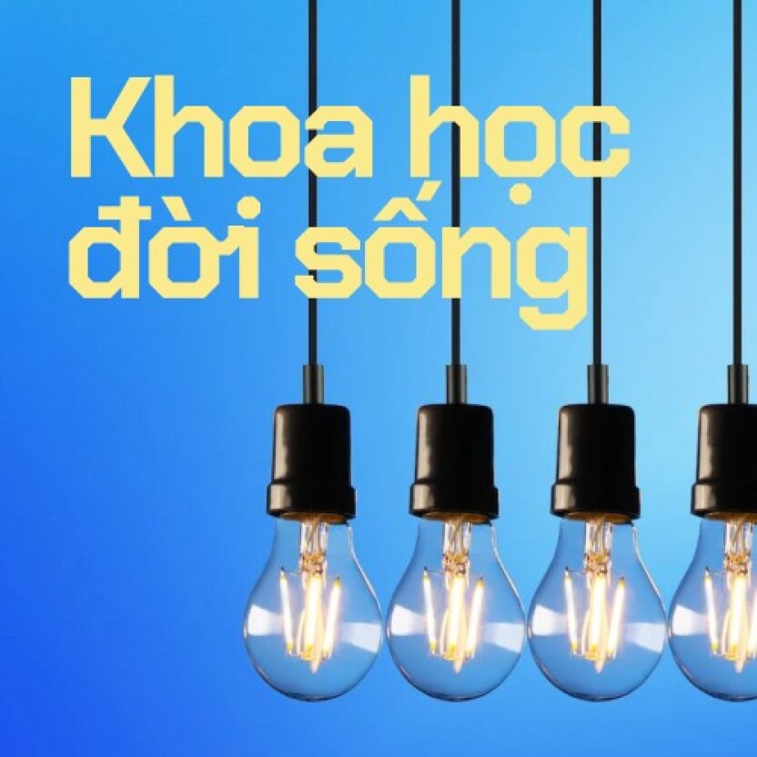 Bạn có biết những kiến thức khoa học đời sống này?