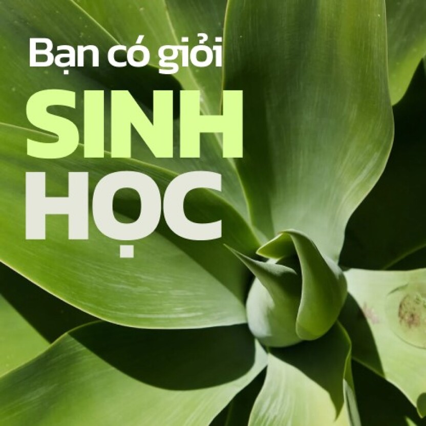 Bạn có giỏi Sinh học như mình nghĩ?